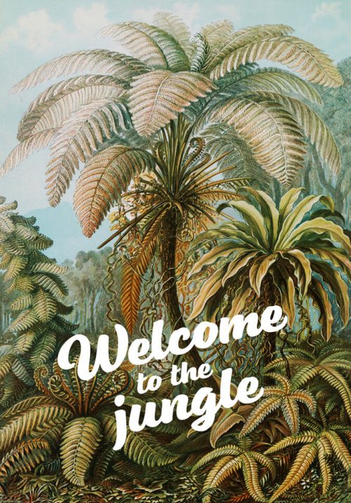 Plakat Welcome to the jungle od sklepu Myśli na ścianę