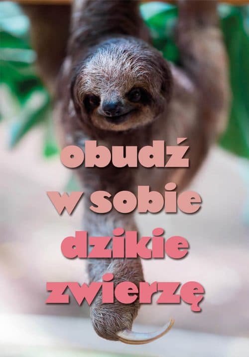 Plakat Obudź w sobie dzikie zwierzę od sklepu Myśli na ścianę