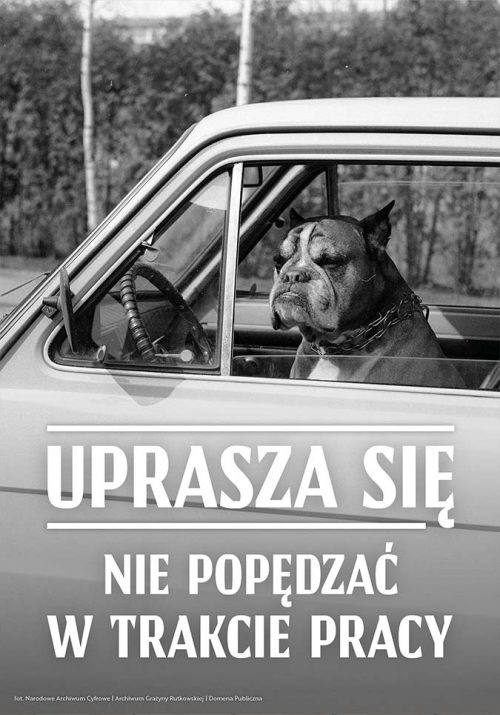 Plakat Uprasza się nie popędzać w trakcie pracy od sklepu Myśli na ścianę