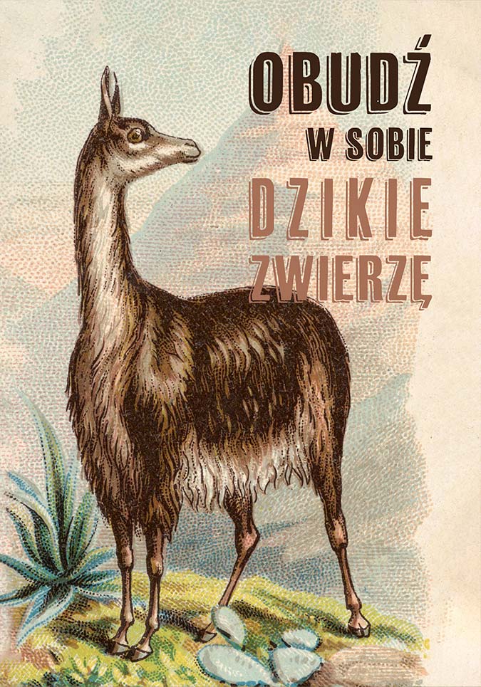 Plakat obudź w sobie dzikie zwierzę od sklepu Myśli na ścianę